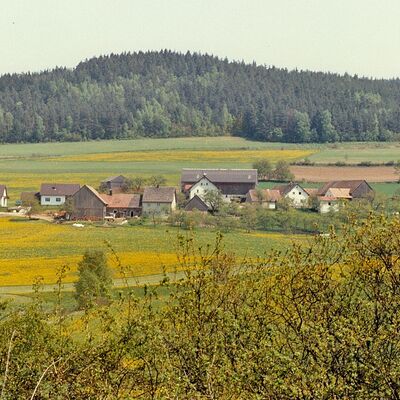 Steinach 1981